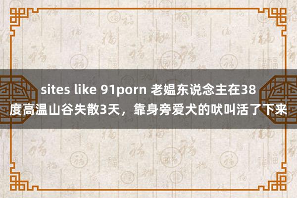 sites like 91porn 老媪东说念主在38度高温山谷失散3天，靠身旁爱犬的吠叫活了下来