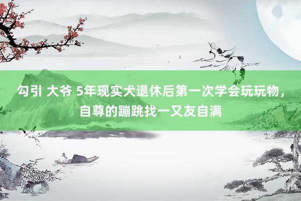 勾引 大爷 5年现实犬退休后第一次学会玩玩物，自尊的蹦跳找一又友自满