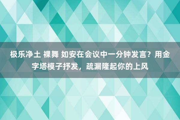 极乐净土 裸舞 如安在会议中一分钟发言？用金字塔模子抒发，疏漏隆起你的上风