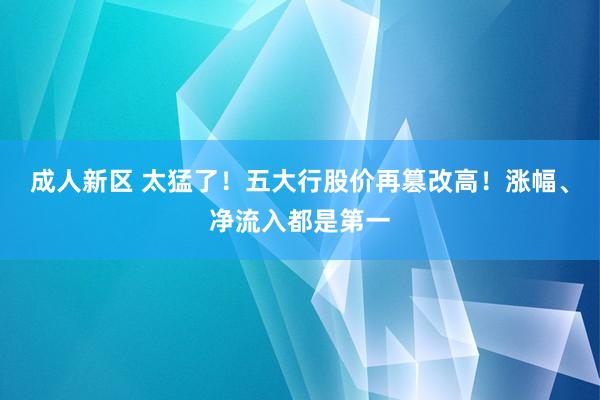 成人新区 太猛了！五大行股价再篡改高！涨幅、净流入都是第一