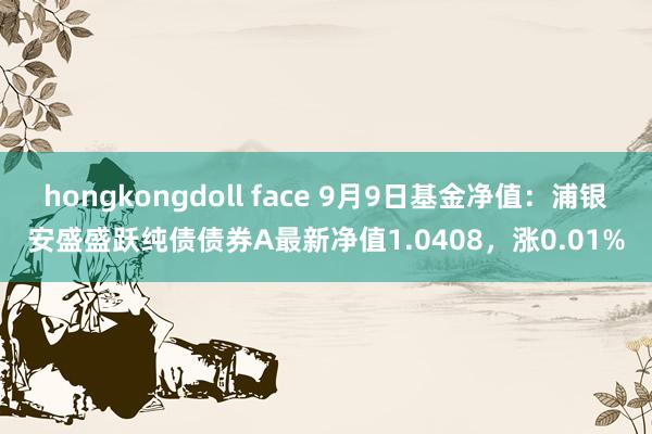 hongkongdoll face 9月9日基金净值：浦银安盛盛跃纯债债券A最新净值1.0408，涨0.01%