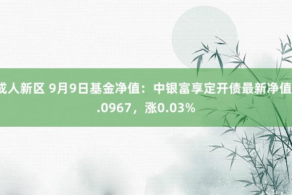 成人新区 9月9日基金净值：中银富享定开债最新净值1.0967，涨0.03%