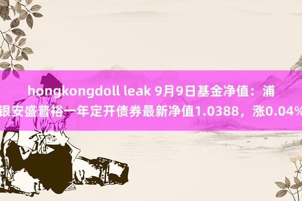 hongkongdoll leak 9月9日基金净值：浦银安盛普裕一年定开债券最新净值1.0388，涨0.04%