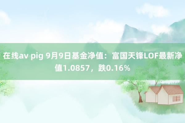 在线av pig 9月9日基金净值：富国天锋LOF最新净值1.0857，跌0.16%