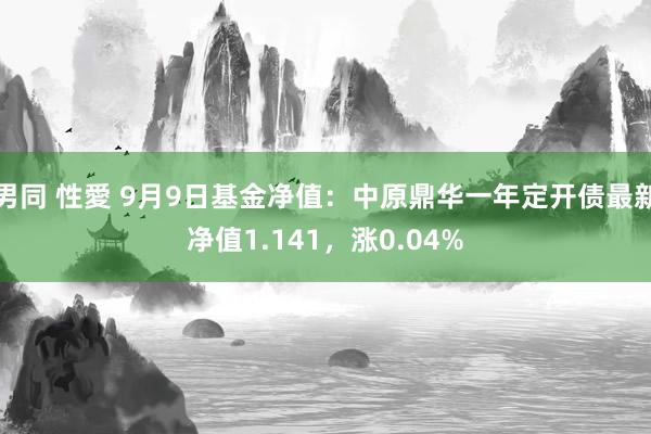 男同 性愛 9月9日基金净值：中原鼎华一年定开债最新净值1.141，涨0.04%