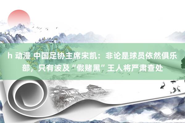 h 动漫 中国足协主席宋凯：非论是球员依然俱乐部，只有波及“假赌黑”王人将严肃查处