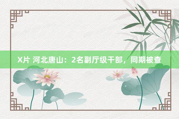 X片 河北唐山：2名副厅级干部，同期被查