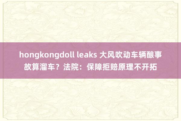 hongkongdoll leaks 大风吹动车辆酿事故算溜车？法院：保障拒赔原理不开拓