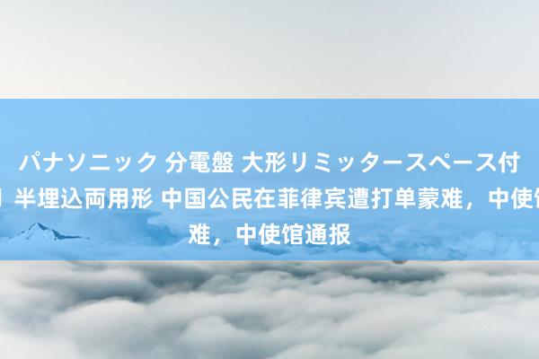 パナソニック 分電盤 大形リミッタースペース付 露出・半埋込両用形 中国公民在菲律宾遭打单蒙难，中使馆通报