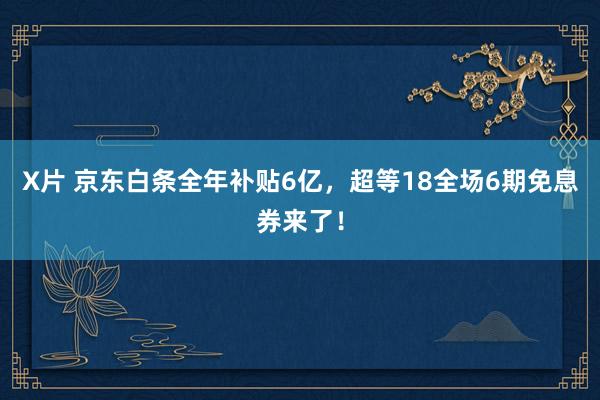 X片 京东白条全年补贴6亿，超等18全场6期免息券来了！