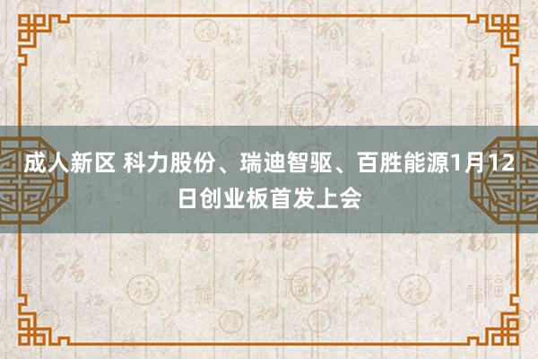 成人新区 科力股份、瑞迪智驱、百胜能源1月12日创业板首发上会