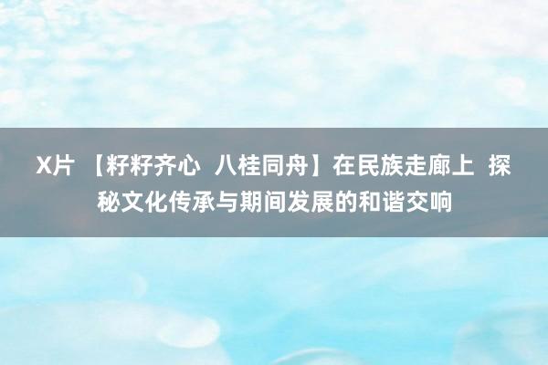 X片 【籽籽齐心  八桂同舟】在民族走廊上  探秘文化传承与期间发展的和谐交响