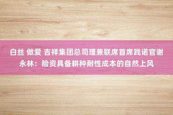 白丝 做爱 吉祥集团总司理兼联席首席践诺官谢永林：险资具备耕种耐性成本的自然上风