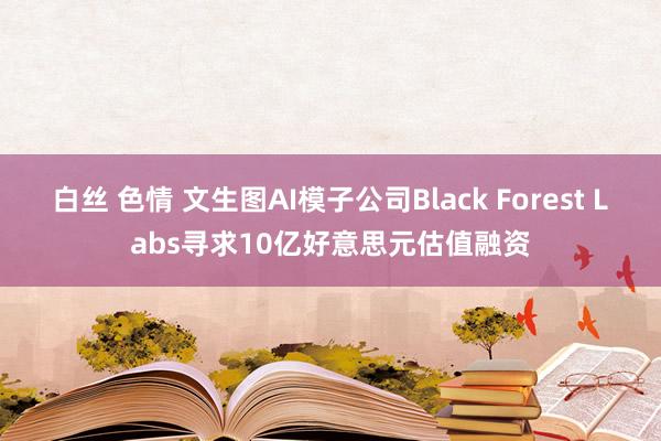 白丝 色情 文生图AI模子公司Black Forest Labs寻求10亿好意思元估值融资