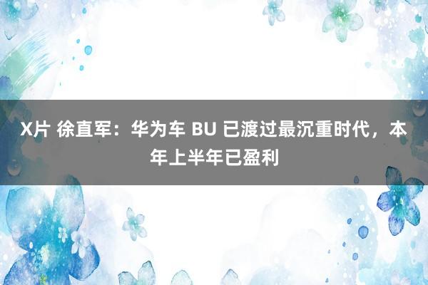 X片 徐直军：华为车 BU 已渡过最沉重时代，本年上半年已盈利