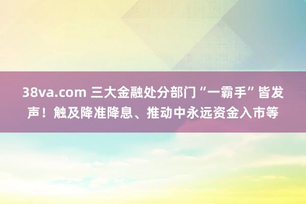 38va.com 三大金融处分部门“一霸手”皆发声！触及降准降息、推动中永远资金入市等