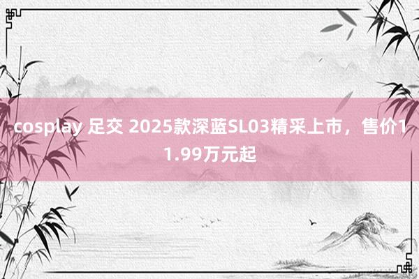 cosplay 足交 2025款深蓝SL03精采上市，售价11.99万元起