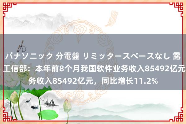 パナソニック 分電盤 リミッタースペースなし 露出・半埋込両用形 工信部：本年前8个月我国软件业务收入85492亿元，同比增长11.2%