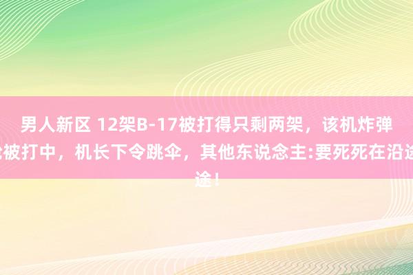 男人新区 12架B-17被打得只剩两架，该机炸弹舱被打中，机长下令跳伞，其他东说念主:要死死在沿途！