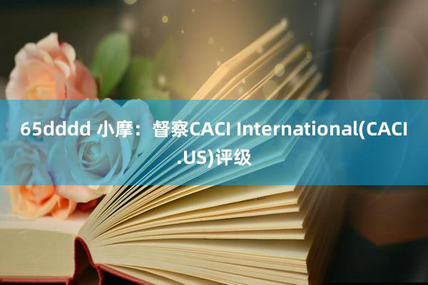 65dddd 小摩：督察CACI International(CACI.US)评级