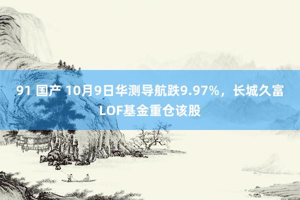 91 国产 10月9日华测导航跌9.97%，长城久富LOF基金重仓该股