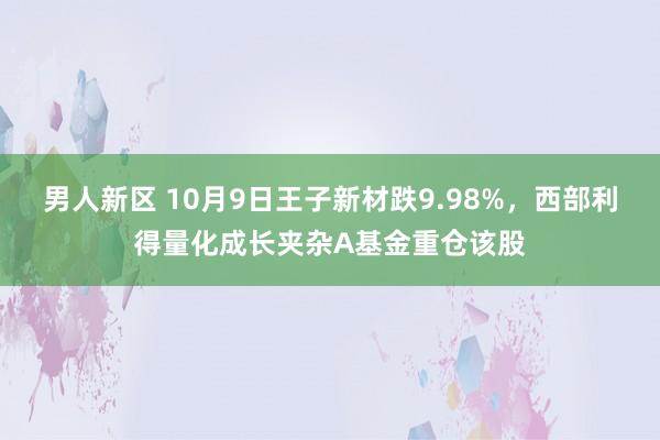 男人新区 10月9日王子新材跌9.98%，西部利得量化成长夹杂A基金重仓该股