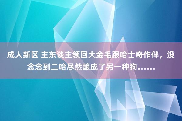 成人新区 主东谈主领回大金毛跟哈士奇作伴，没念念到二哈尽然酿成了另一种狗……