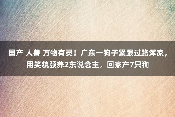 国产 人兽 万物有灵！广东一狗子紧跟过路浑家，用笑貌颐养2东说念主，回家产7只狗