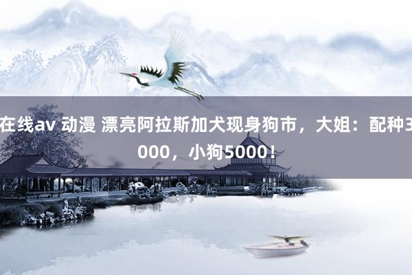 在线av 动漫 漂亮阿拉斯加犬现身狗市，大姐：配种3000，小狗5000！