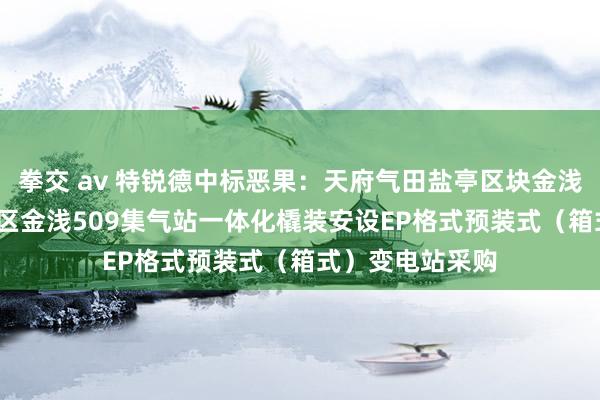 拳交 av 特锐德中标恶果：天府气田盐亭区块金浅21～金华51井区金浅509集气站一体化橇装安设EP格式预装式（箱式）变电站采购