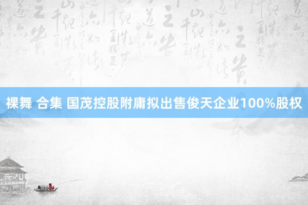 裸舞 合集 国茂控股附庸拟出售俊天企业100%股权