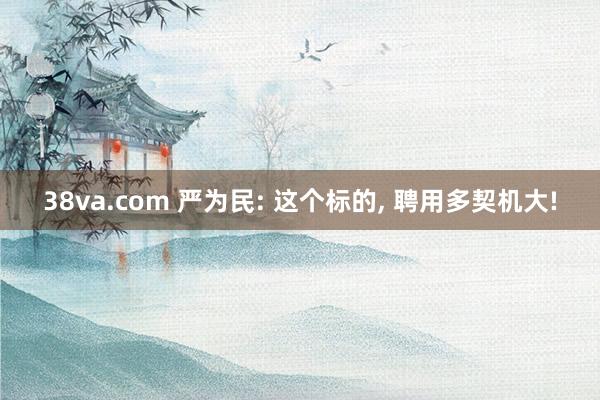 38va.com 严为民: 这个标的， 聘用多契机大!