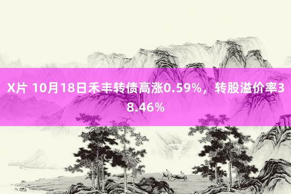 X片 10月18日禾丰转债高涨0.59%，转股溢价率38.46%