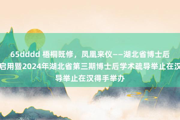 65dddd 梧桐既修，凤凰来仪——湖北省博士后举止中心启用暨2024年湖北省第三期博士后学术疏导举止在汉得手举办