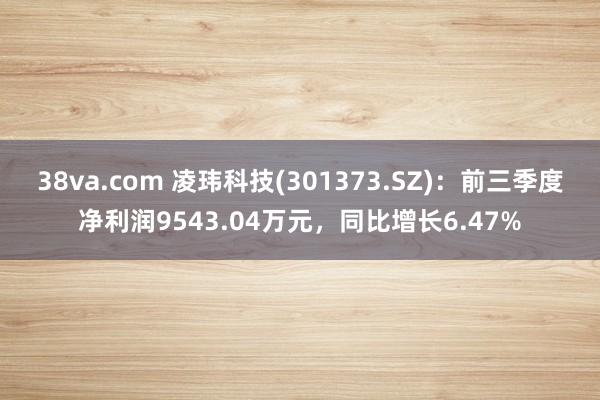 38va.com 凌玮科技(301373.SZ)：前三季度净利润9543.04万元，同比增长6.47%