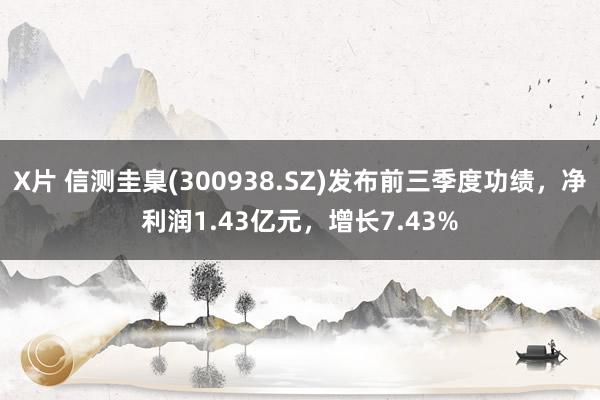 X片 信测圭臬(300938.SZ)发布前三季度功绩，净利润1.43亿元，增长7.43%