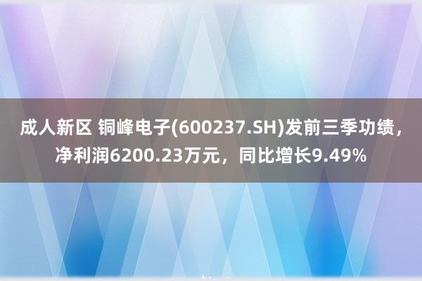 成人新区 铜峰电子(600237.SH)发前三季功绩，净利润6200.23万元，同比增长9.49%