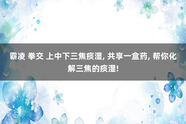 霸凌 拳交 上中下三焦痰湿， 共享一盒药， 帮你化解三焦的痰湿!