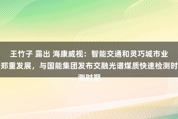 王竹子 露出 海康威视：智能交通和灵巧城市业务郑重发展，与国能集团发布交融光谱煤质快速检测时期