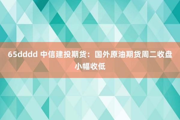 65dddd 中信建投期货：国外原油期货周二收盘小幅收低