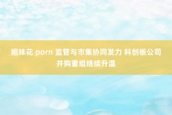 姐妹花 porn 监管与市集协同发力 科创板公司并购重组络续升温