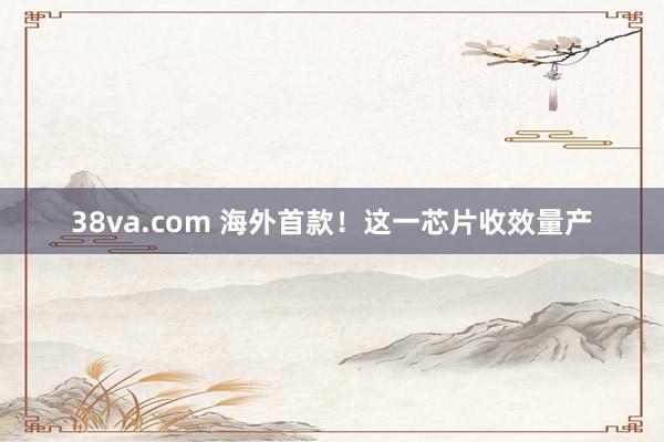 38va.com 海外首款！这一芯片收效量产