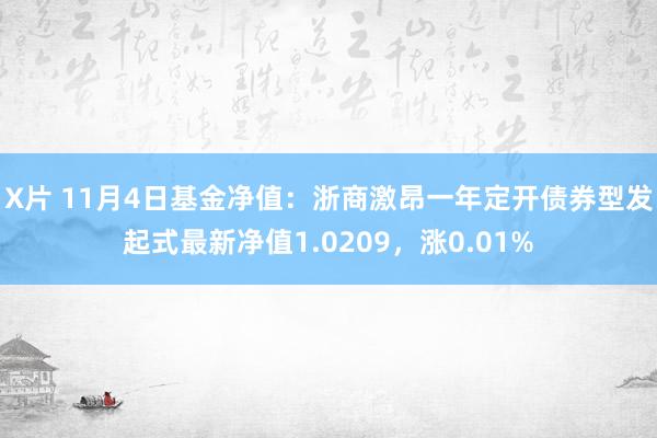 X片 11月4日基金净值：浙商激昂一年定开债券型发起式最新净值1.0209，涨0.01%