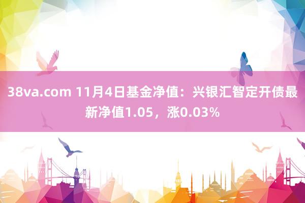 38va.com 11月4日基金净值：兴银汇智定开债最新净值1.05，涨0.03%