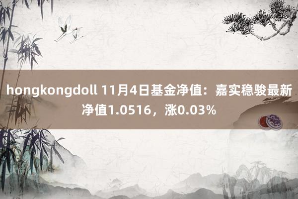 hongkongdoll 11月4日基金净值：嘉实稳骏最新净值1.0516，涨0.03%