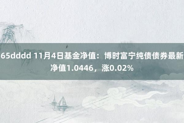 65dddd 11月4日基金净值：博时富宁纯债债券最新净值1.0446，涨0.02%