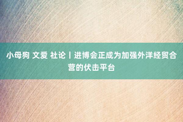 小母狗 文爱 社论丨进博会正成为加强外洋经贸合营的伏击平台