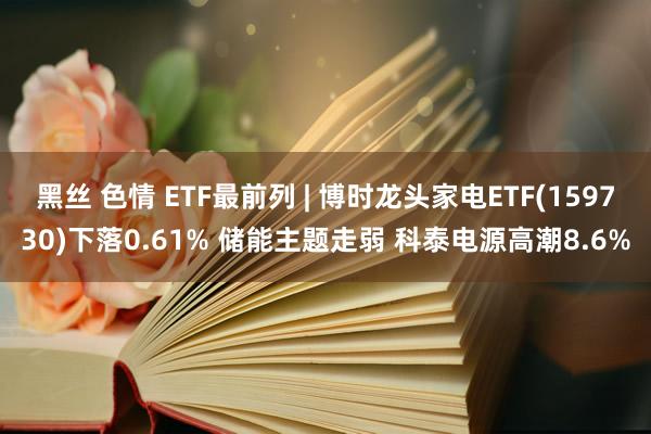 黑丝 色情 ETF最前列 | 博时龙头家电ETF(159730)下落0.61% 储能主题走弱 科泰电源高潮8.6%