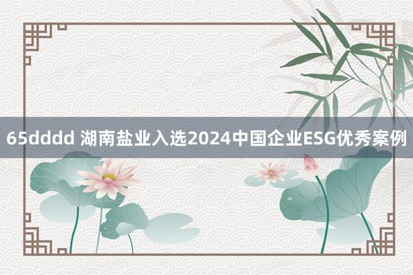 65dddd 湖南盐业入选2024中国企业ESG优秀案例