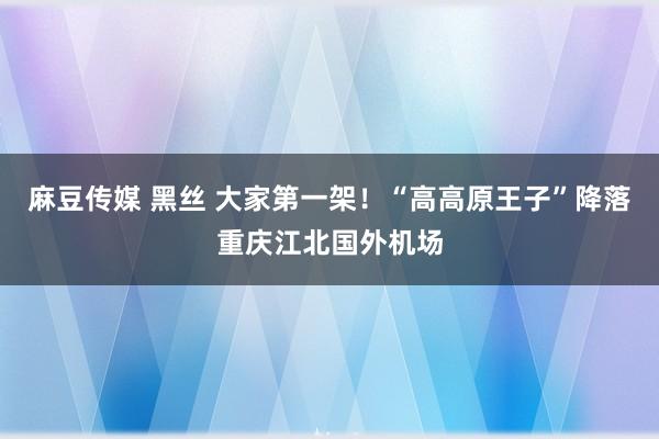 麻豆传媒 黑丝 大家第一架！“高高原王子”降落重庆江北国外机场